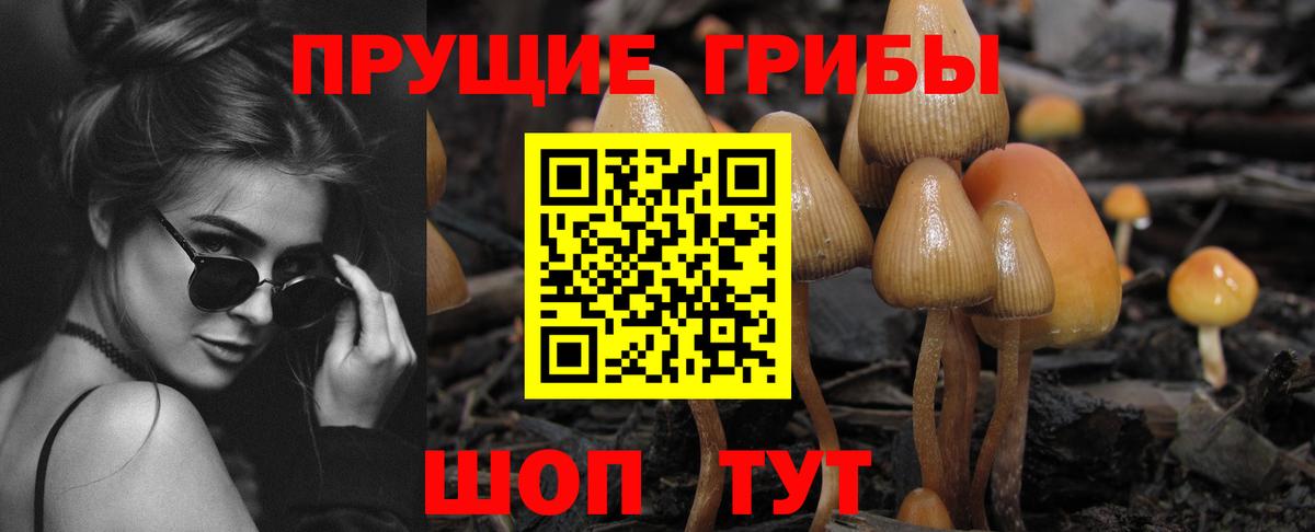 Псилоцибиновые грибы Magic Shrooms Можайск